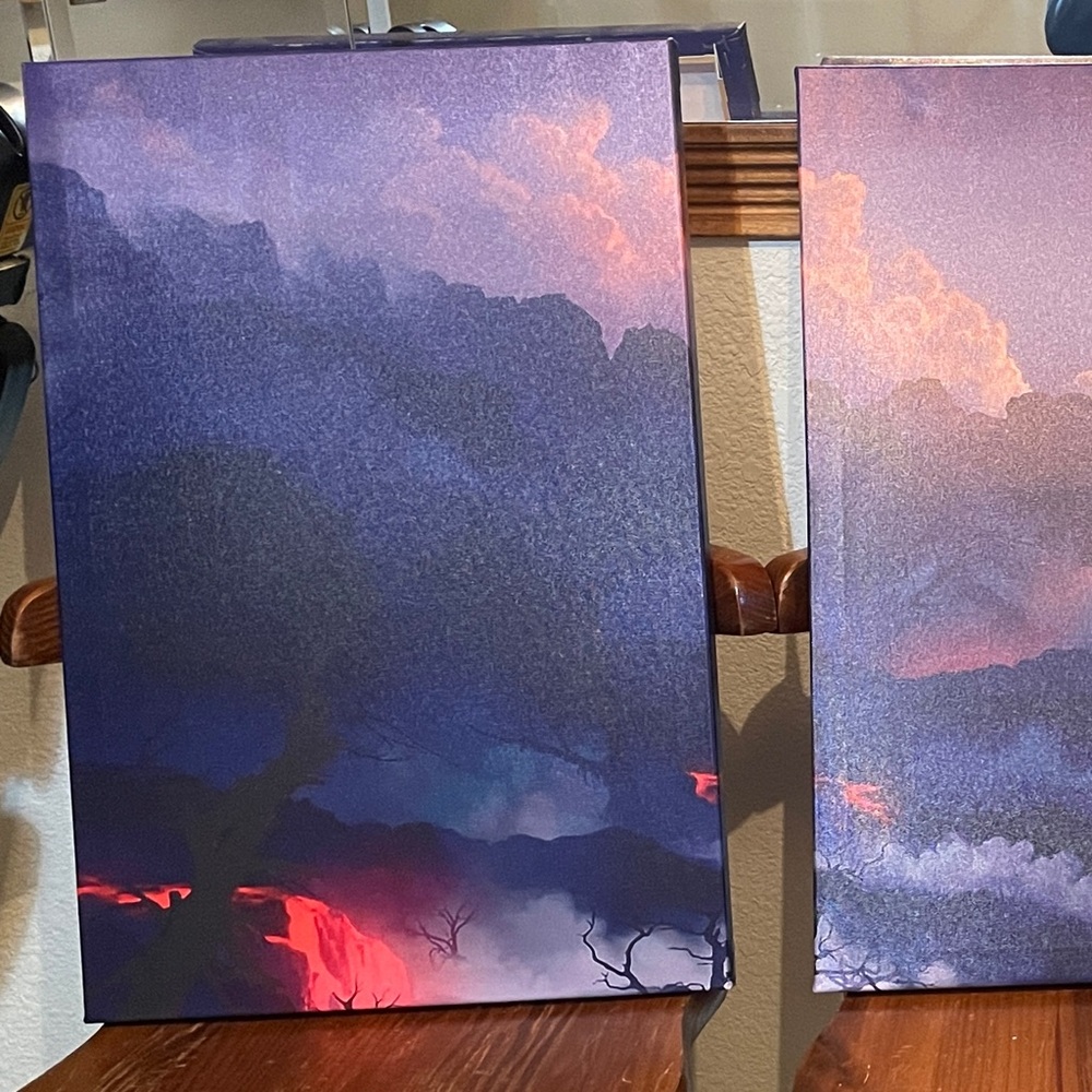 Sunset Japanese cherry blossom Tree Canvas Art.  Set of 3

Beautiful - Picture 3 of 3